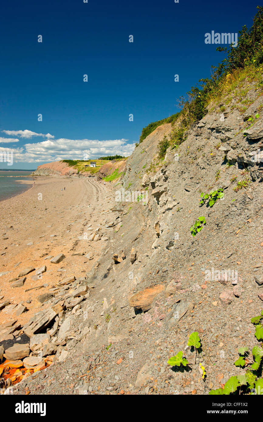 Falaises fossilifères de Joggins, baie de Fundy, en Nouvelle-Écosse, Canada Banque D'Images