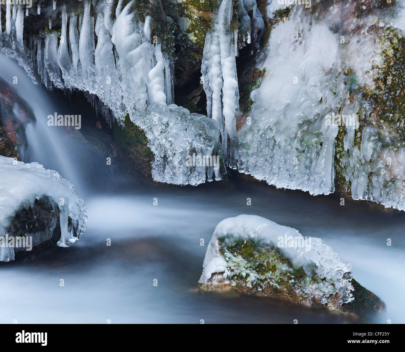 Avis de Mira tombe en hiver, Basse Autriche, Autriche, Europe Banque D'Images