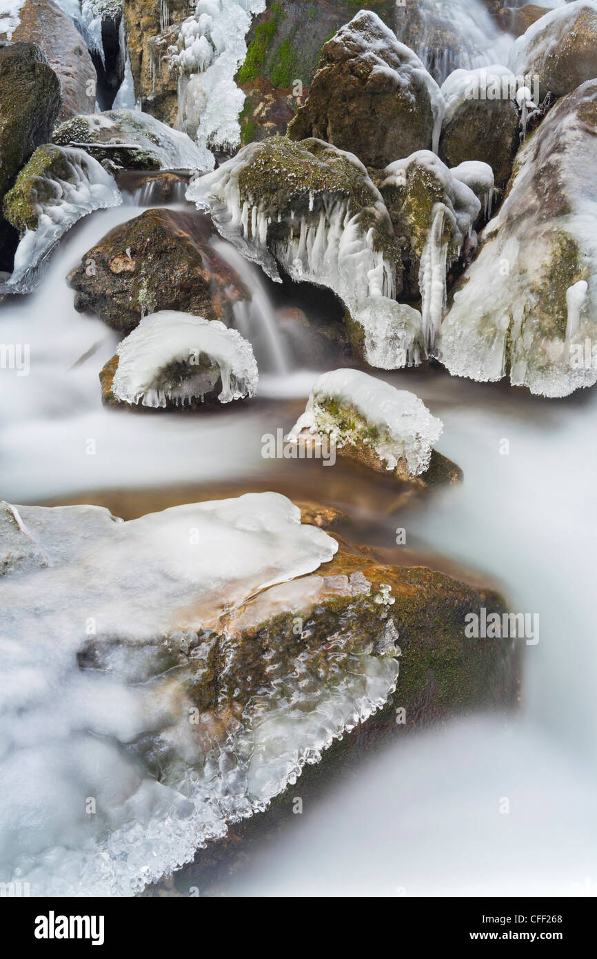 Avis de Mira tombe en hiver, Basse Autriche, Autriche, Europe Banque D'Images