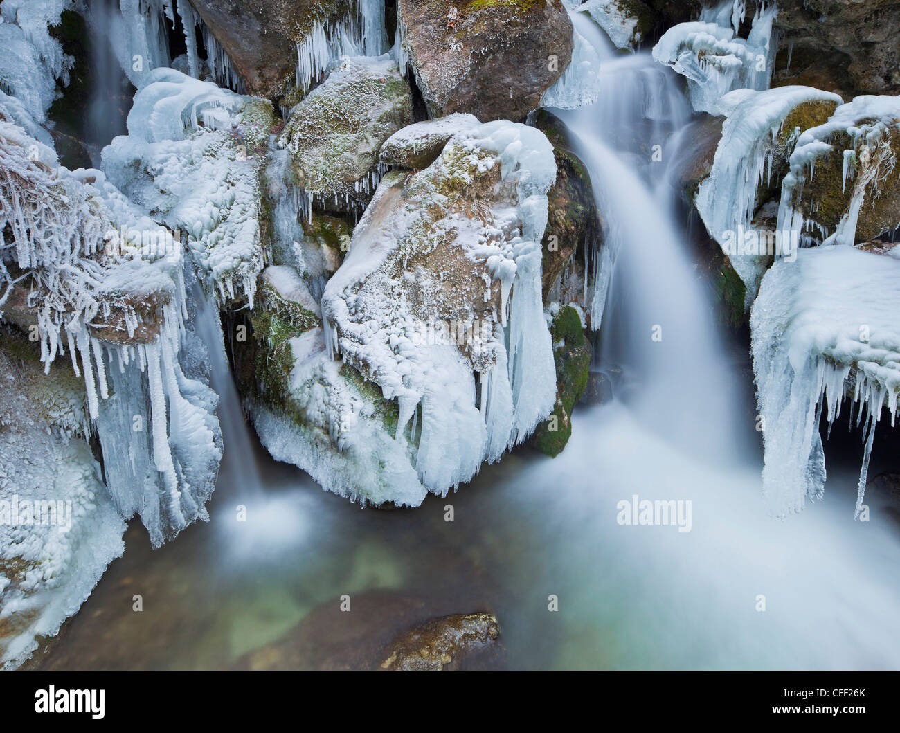 Avis de Mira tombe en hiver, Basse Autriche, Autriche, Europe Banque D'Images