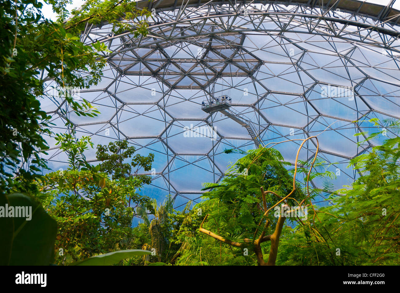 Eden Project près de St Austell, Cornwall, Angleterre, Royaume-Uni, Europe Banque D'Images
