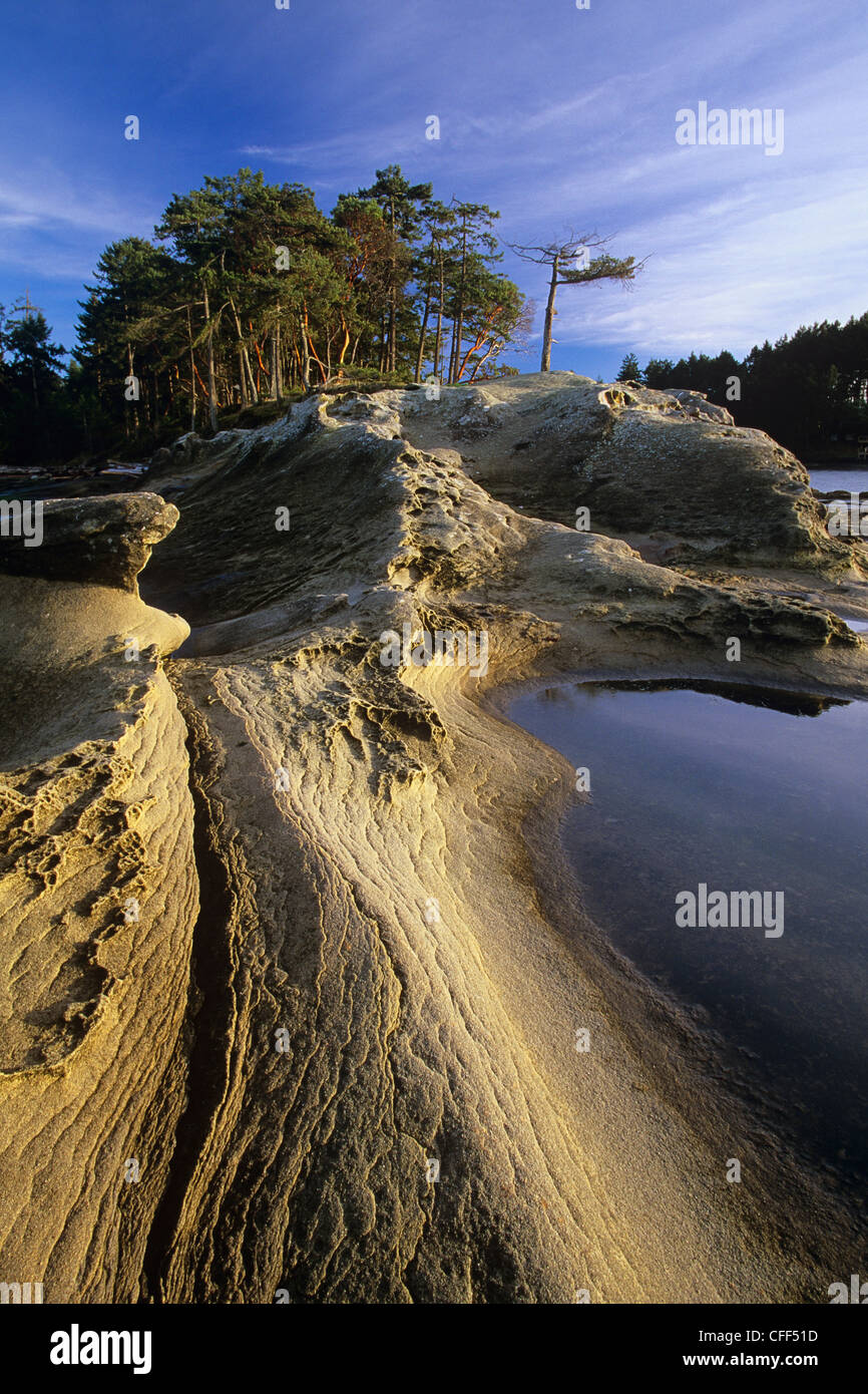 Rivage de grès et Arbutus Grove Point à Malaspina, Gabriola Island, sud des îles Gulf, en Colombie-Britannique, Canada. Banque D'Images