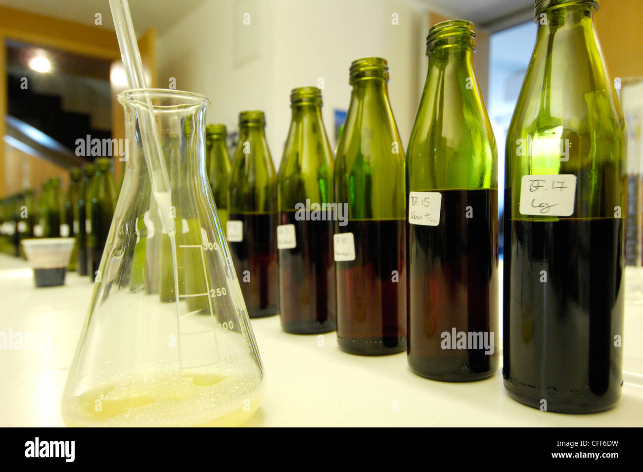 Dans le laboratoire de bouteilles Cave Saint Michel, Eppan an der Weinstrasse, Tyrol du Sud, Italie, Europe Banque D'Images