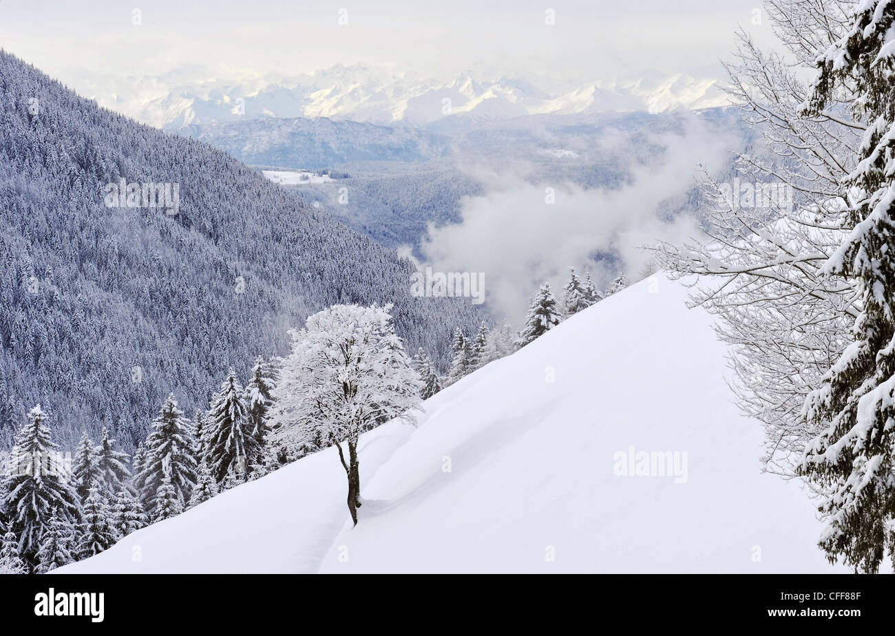 Paysage de montagne en hiver, Evolène, Val d'Ega, Tyrol du Sud, l'Alto Adige, Italie, Europe Banque D'Images
