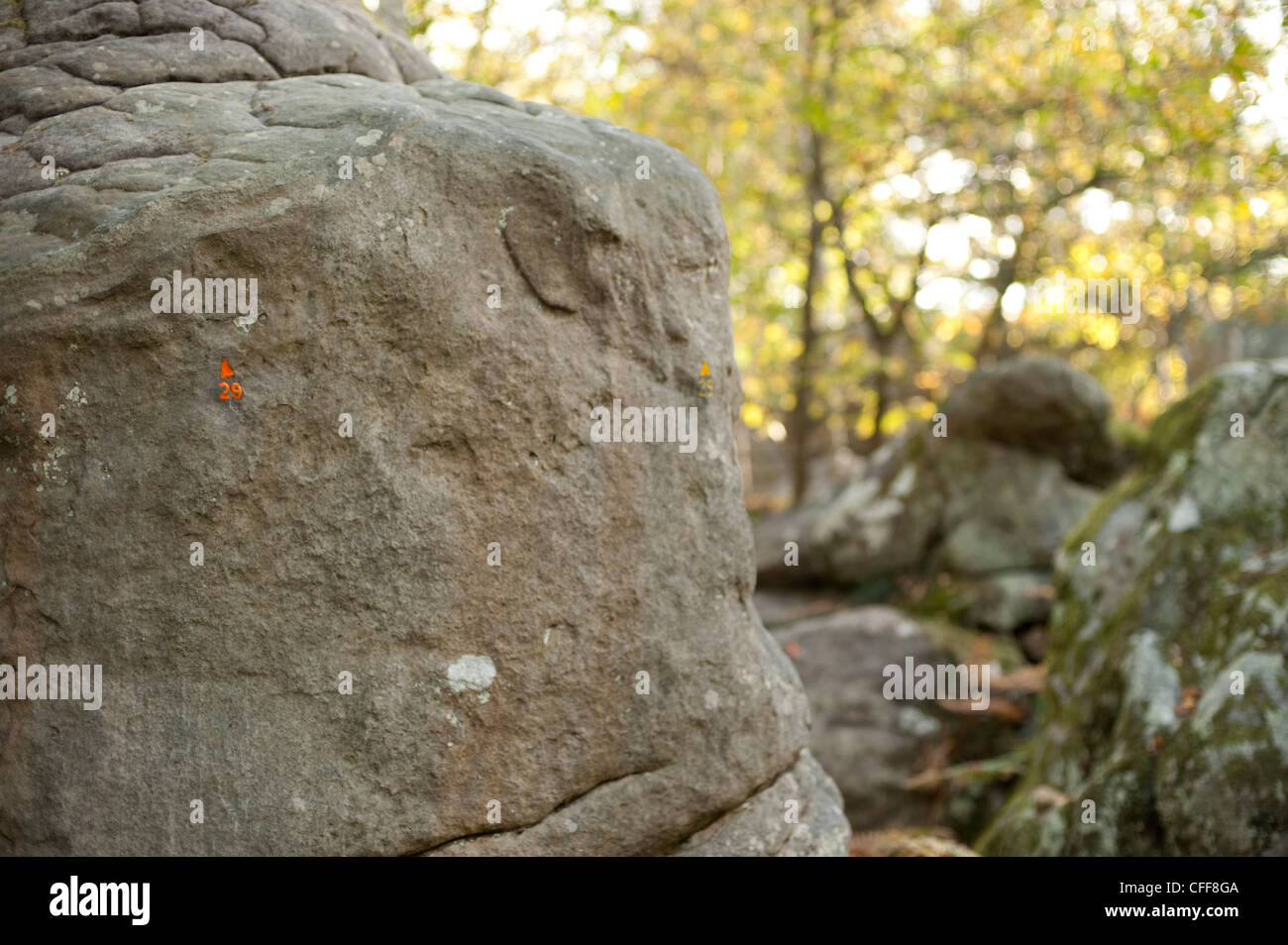 Escalade un rocher dans Fontainbleau avec numéro du circuit 29 peint sur la pierre dans la lumière du soleil pommelé Banque D'Images