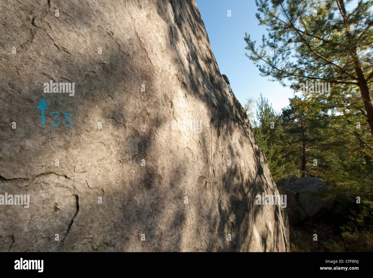 De l'ombre pommelé d'arbres sur un rocher d'escalade à Fontainebleau avec un numéro de circuit 35 peint sur la roche. Banque D'Images