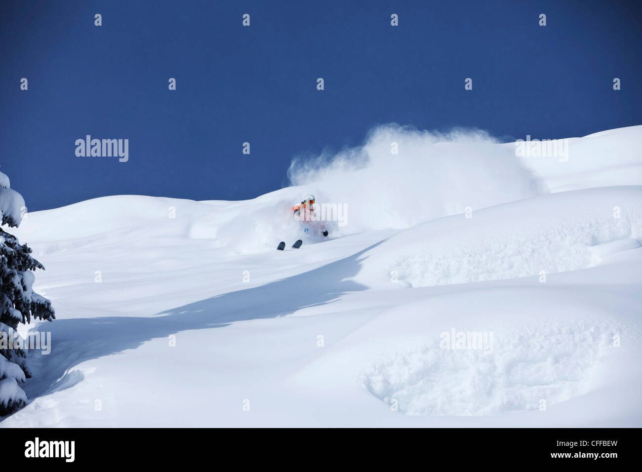 Un skieur sportif frais rip tourne en poudre dans l'arrière-pays pour une journée ensoleillée en Californie. Banque D'Images