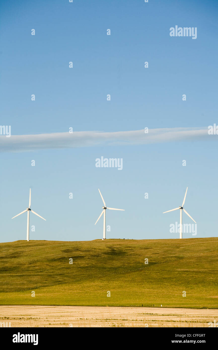 Une rangée d'éoliennes l'énergie propre dans le Montana. Banque D'Images