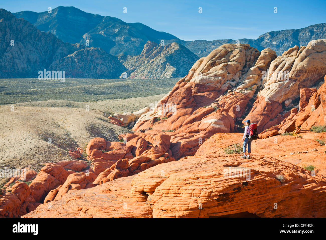 Un randonneur dans le calicot Hills, Red Rock Canyon National Conservation Area, Nevada, USA. Banque D'Images