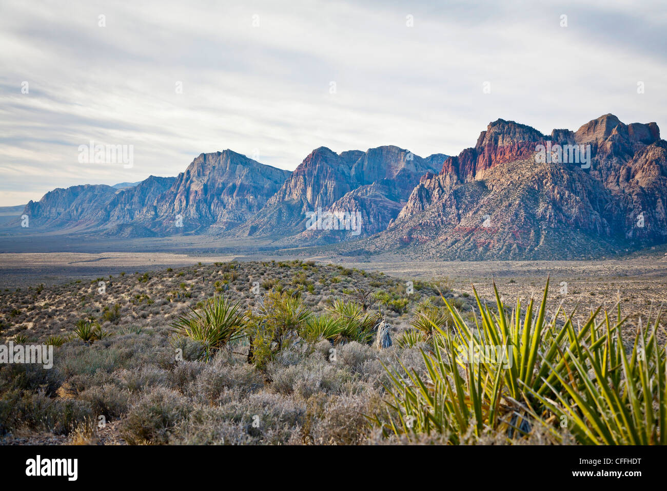 Red Rock Canyon National Conservation Area, Nevada, USA. Banque D'Images