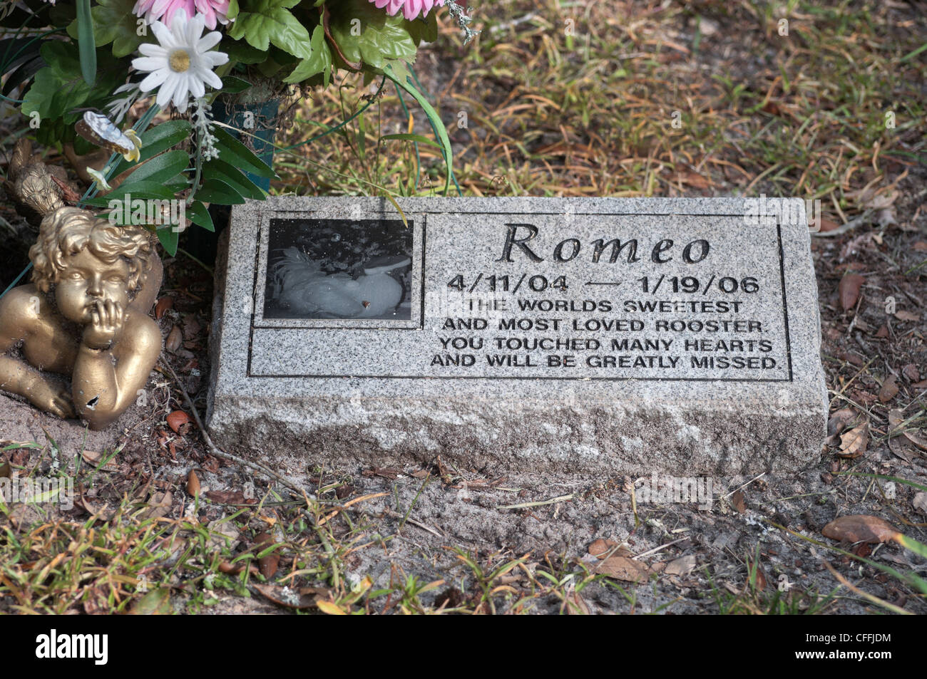 Le jardin de l'amour animal memorial park et cimetière de Micanopy, en Floride. Banque D'Images Le jardin de l'amour animal memorial park et cimetière de Micanopy, en Floride. Banque D'Images