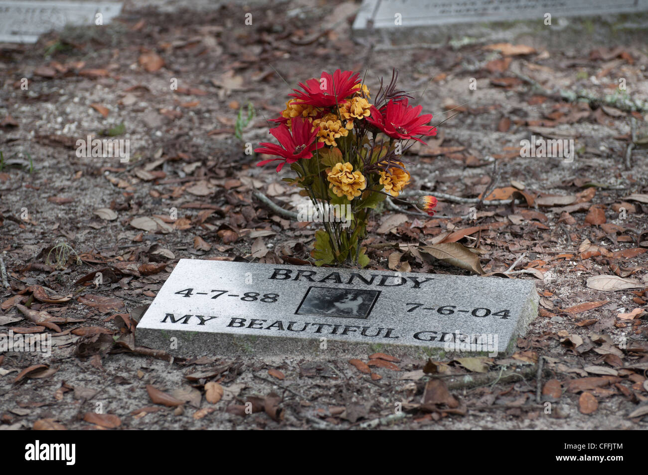 Le jardin de l'amour animal memorial park et cimetière de Micanopy, en Floride. Banque D'Images