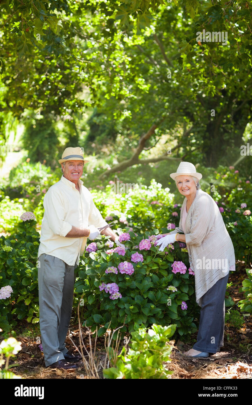 Woman smiling avec un homme qu'elles fleurs prune Banque D'Images