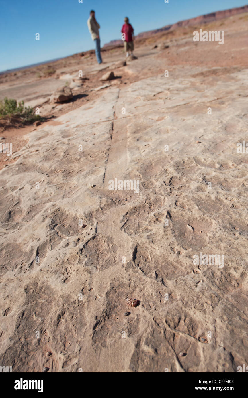 Queue de dinosaure fossilisé voie être admiré par un guide et un touriste, près de Tuba City, Arizona, États-Unis Banque D'Images