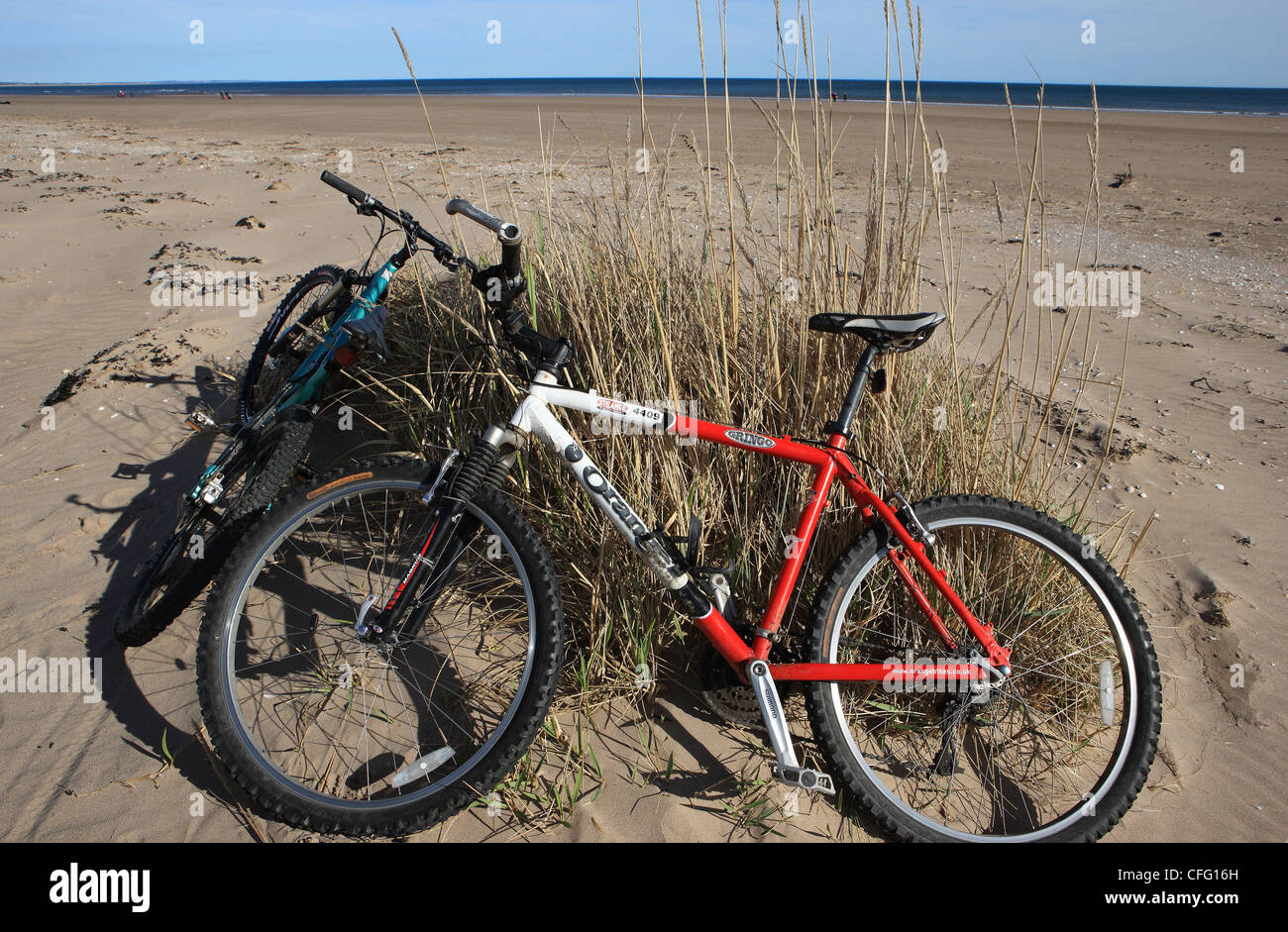 Vélos à la plage de l'herbe contre Banque D'Images