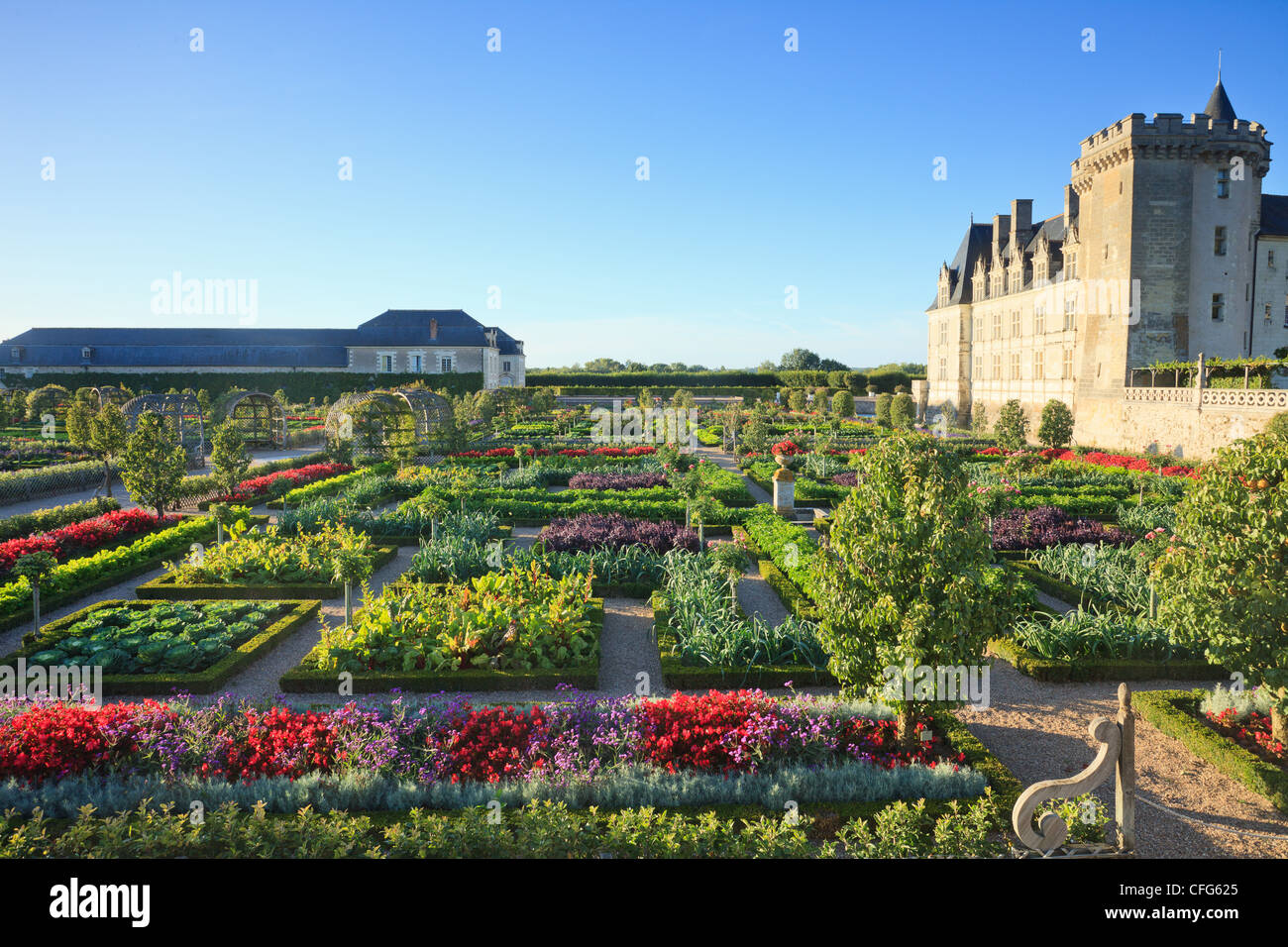 La France, les jardins de Villandry château, le potager traité comme un "jardin à la française". Banque D'Images