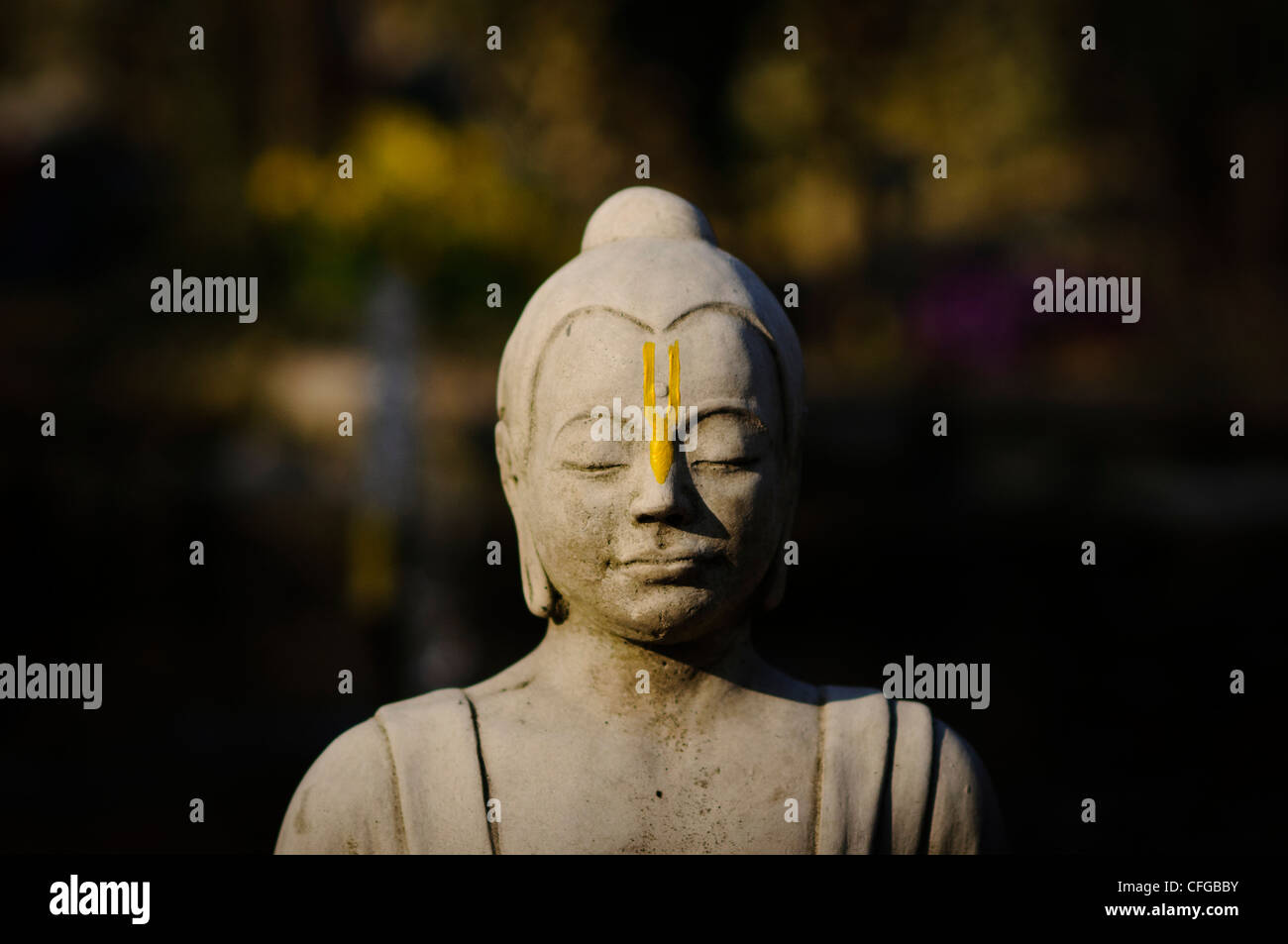 Une statue de Bouddha à 'Holi' (le Festival de couleur), Bhaktivedanta Manor, Aldenham, Watford, Royaume-Uni, 11 mars 2012 Banque D'Images