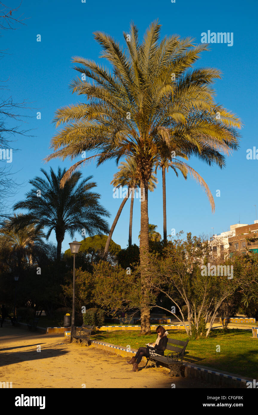 Jardines de Murillo, parc centre de Séville Andalousie Espagne Banque D'Images