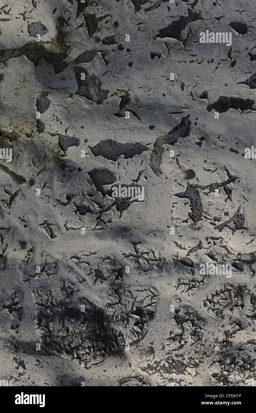 Fermer détail de l'écaillage de la peinture sur panneau de tôle ondulée. Texture peinture altérés, la vieille peinture de texture. Banque D'Images