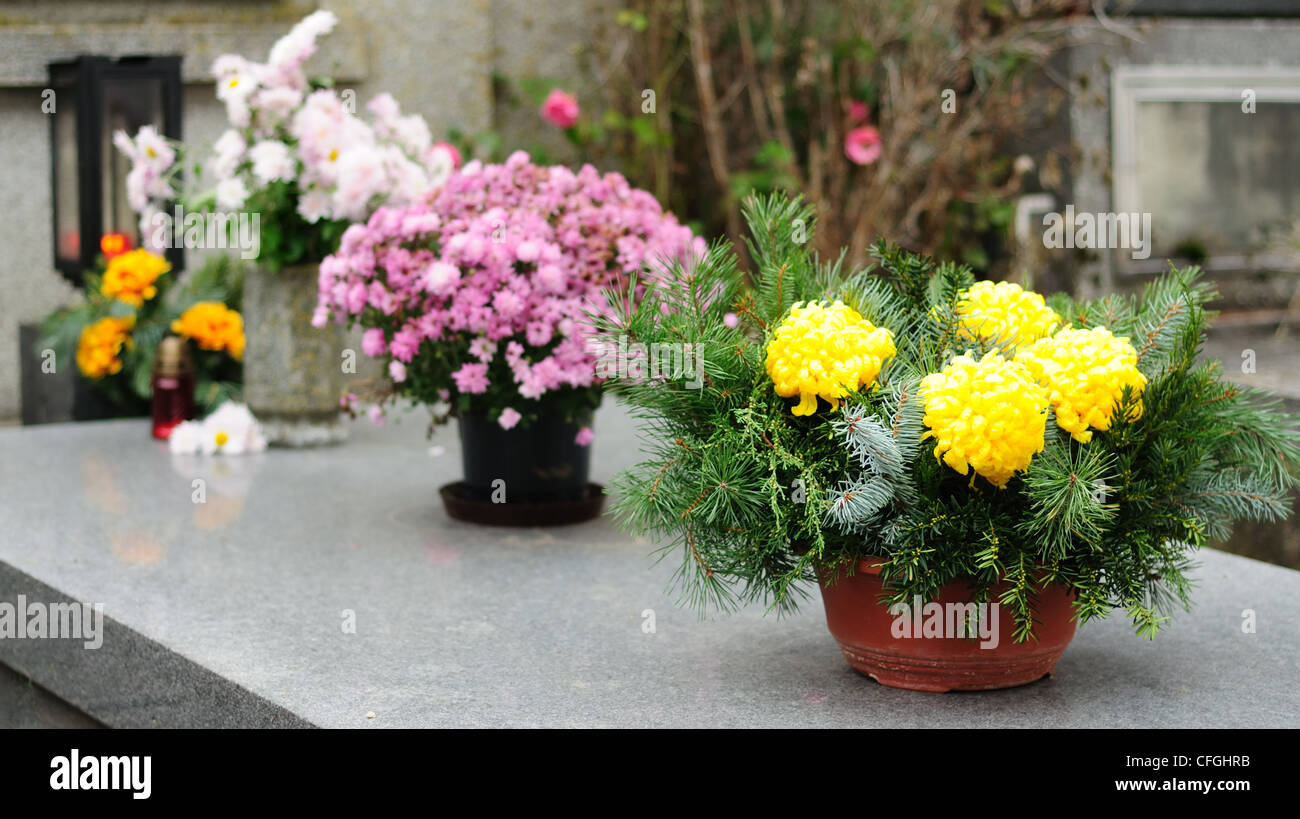 Fleurs funéraire placé sur la tombe à toutes les âmes, maison de vacances. Banque D'Images