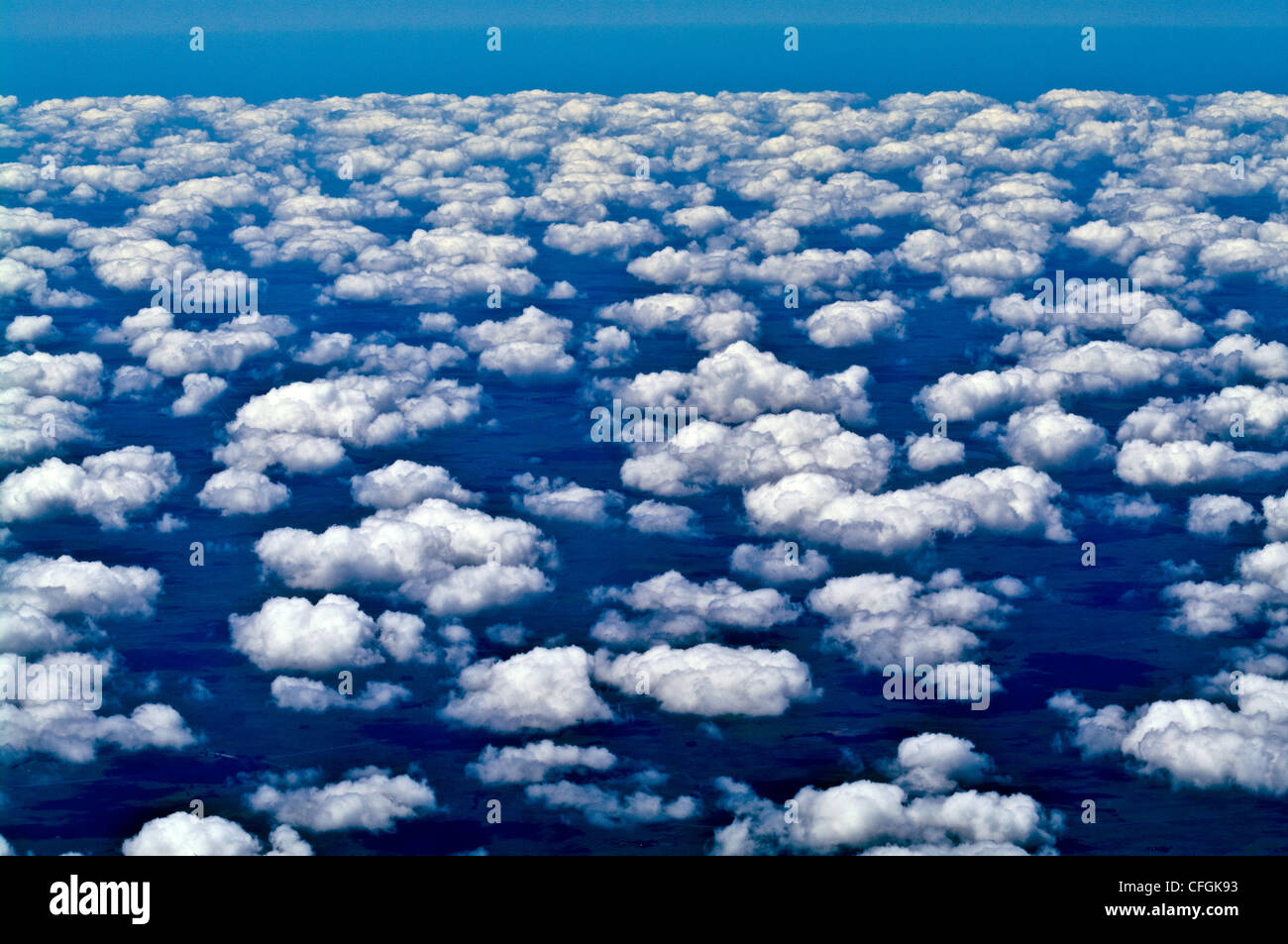 Vol au-dessus d'un vaste champ de coton sur les terres agricoles. Banque nuage Banque D'Images