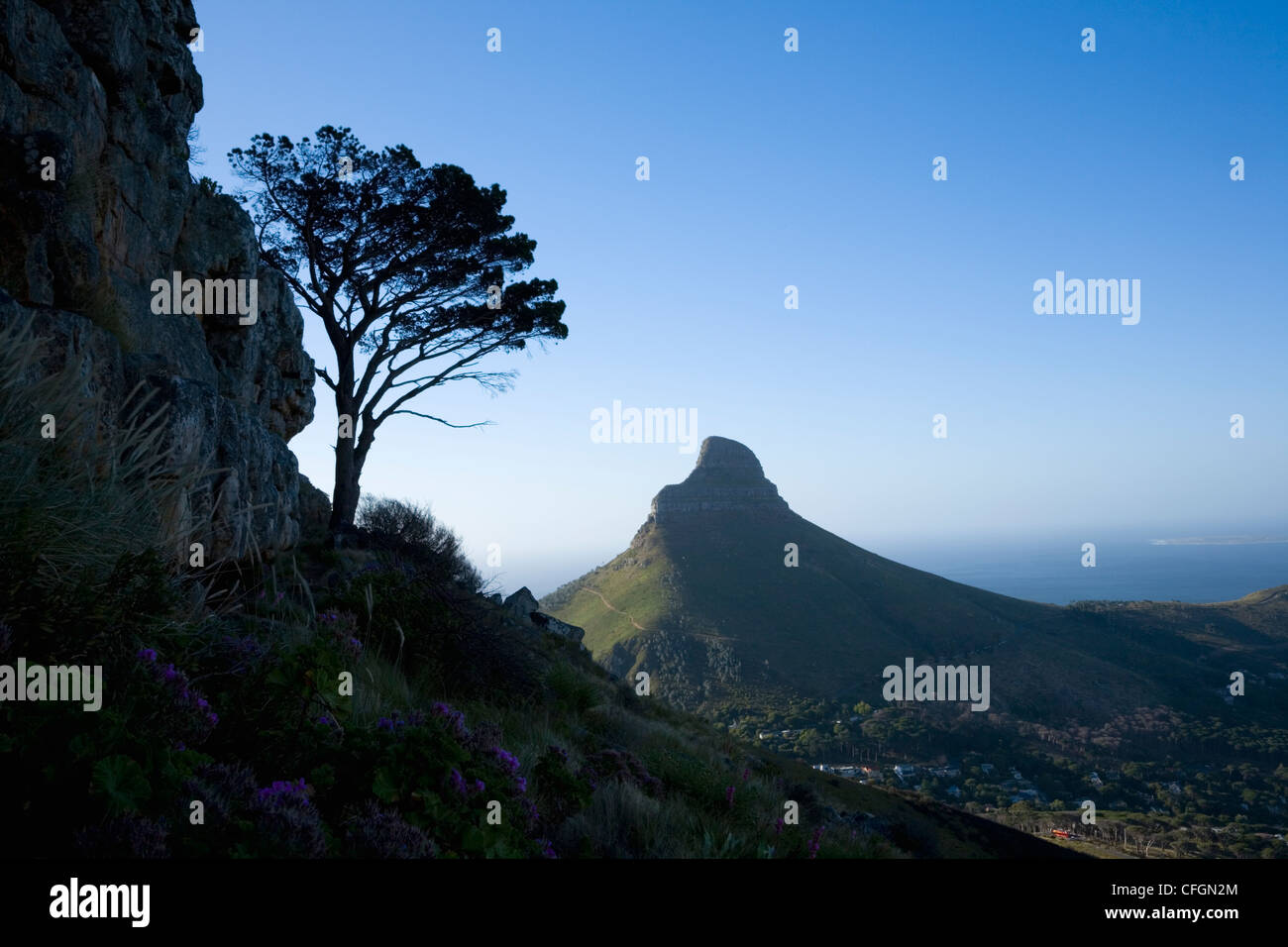 La tête de lion sur le côté de la Montagne de la table. La ville du Cap. L'Afrique du Sud. Banque D'Images