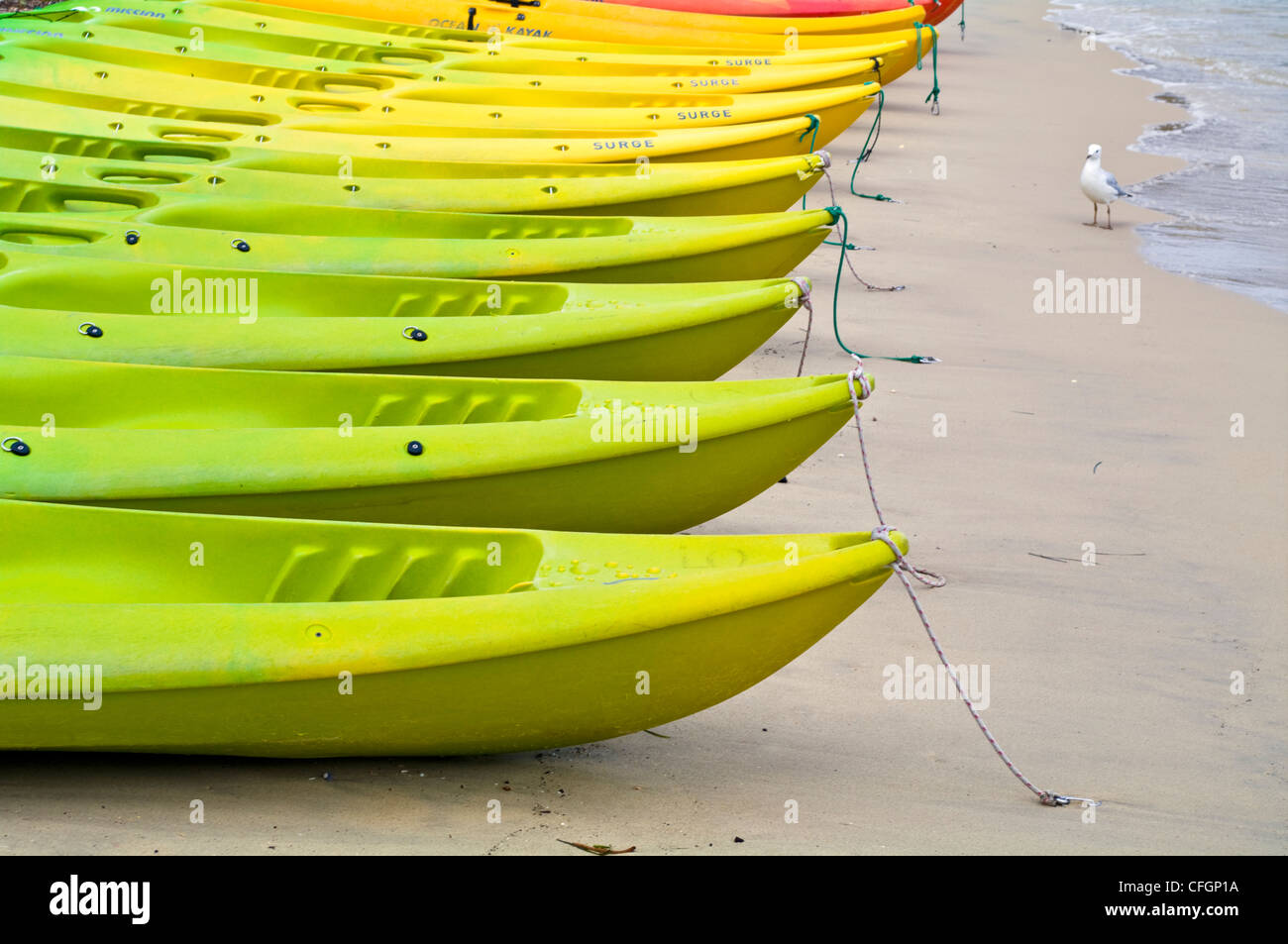 Une rangée de kayaks de mer colorés posés sur une plage de sable à marée basse. Banque D'Images