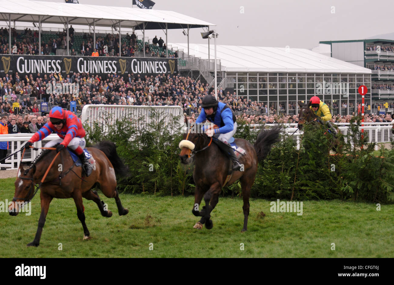 Le Roi Balthazar (IRE) avant de gagner le Glenfarclas Handicap Chase dans lequel deux chevaux sont morts le premier jour de la Cheltenham Gold Cup Banque D'Images