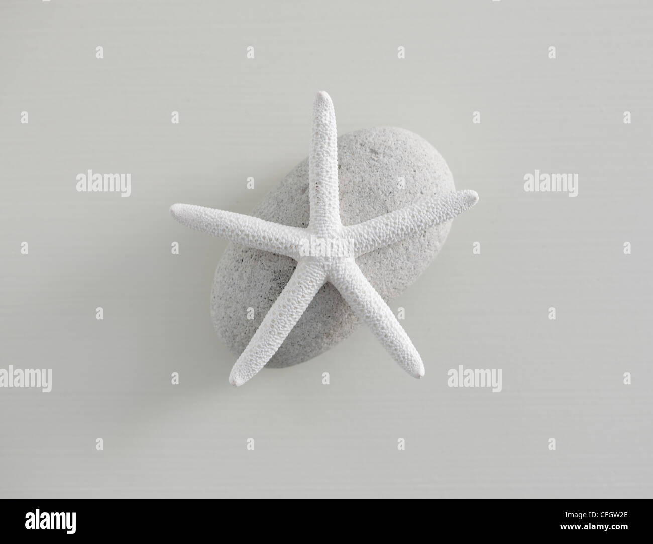 Starfish on Rock Banque D'Images
