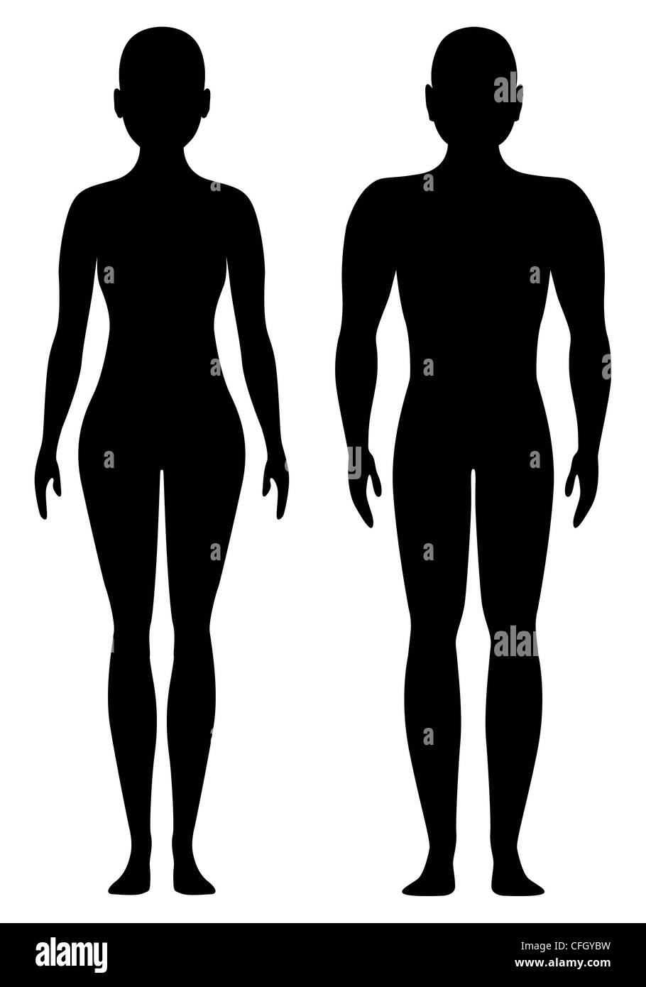 Formes proportionnelle des hommes et des femmes Banque D'Images