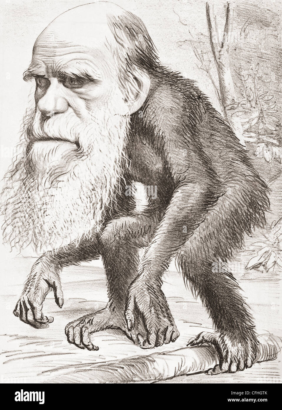 Charles Darwin 1809 - 1882. Naturaliste anglais ici représenté comme un singe dans une caricature dans le magazine Hornet du 22 mars 1871. Banque D'Images