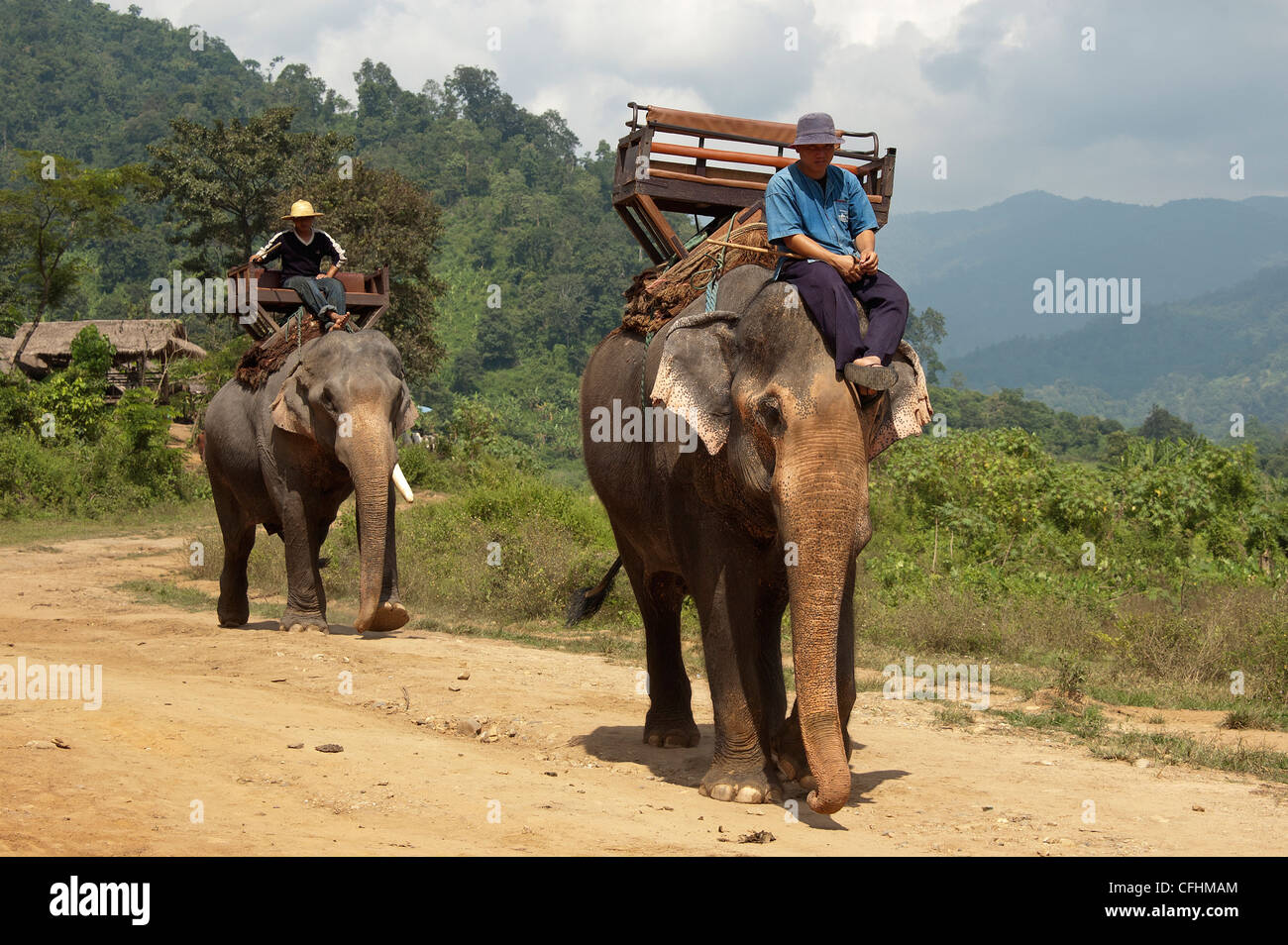 La Thaïlande, Elk208-4423, Maetaman Chiang Dao Elephant Camp, les éléphants aux cornacs Banque D'Images