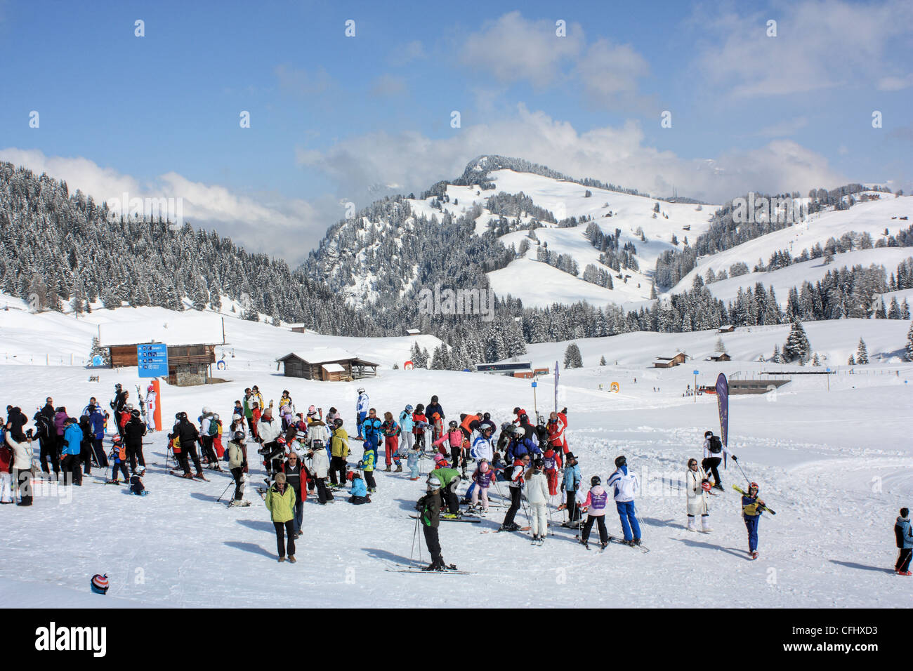 Seiser Alm / Alpe di Siusi, le Tyrol du Sud, Italie Banque D'Images