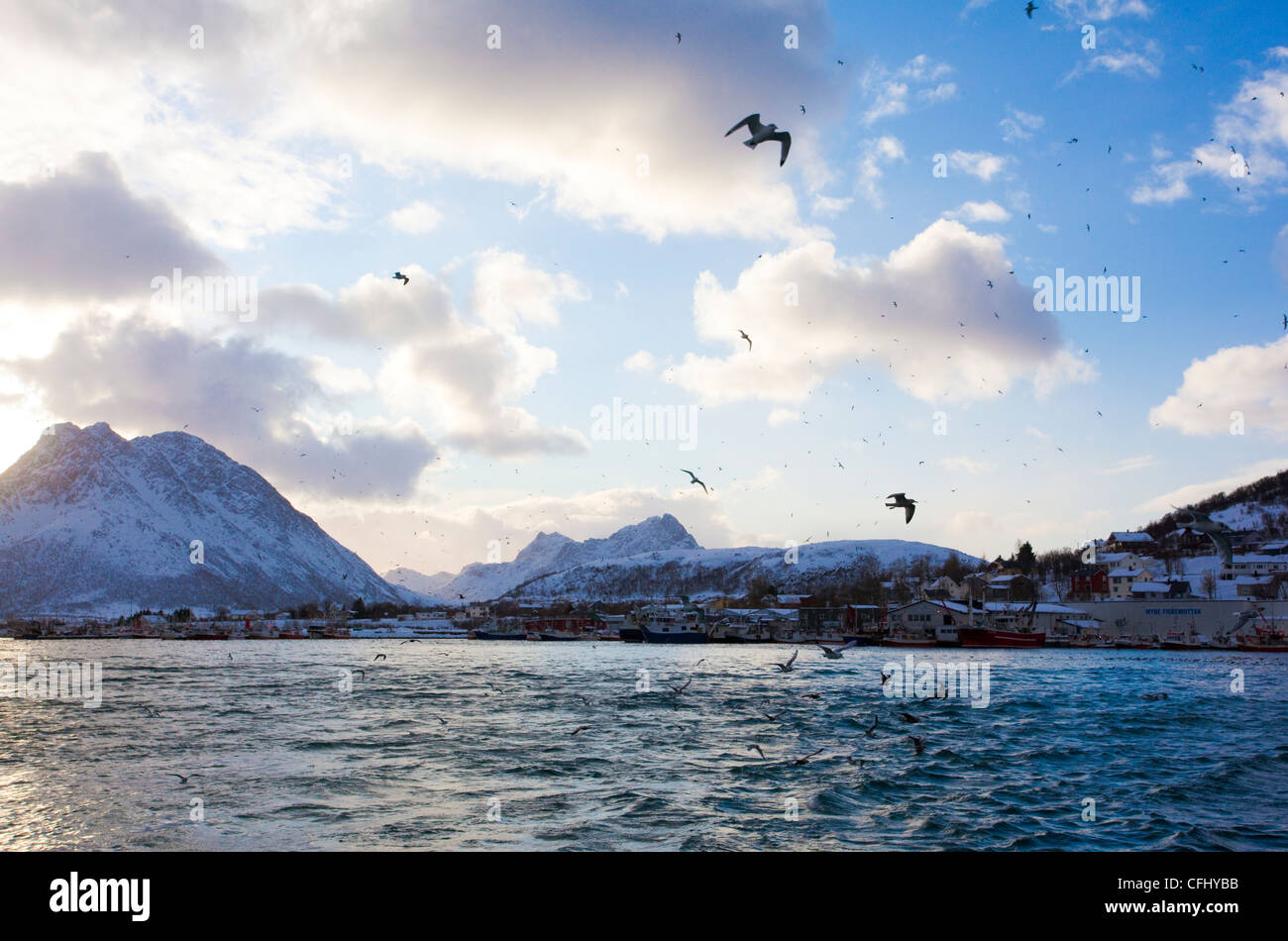 Les pêcheurs et les navires de pêche dans le port de Myre, entouré de montagnes, au nord de la Norvège, Scandinavie. Banque D'Images