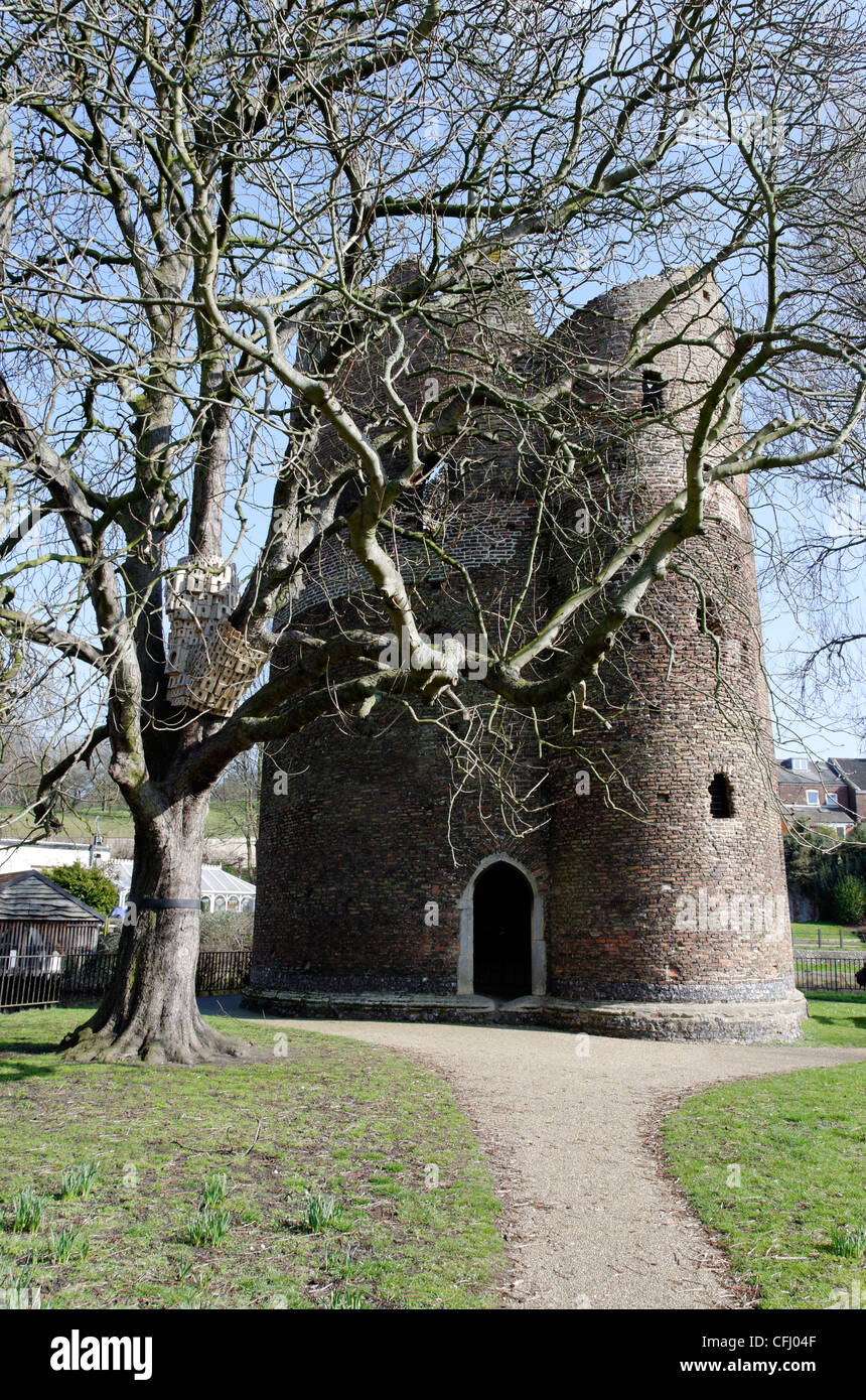 Le Cow Tower, quartier historique de la vieille armée le long de la rivière Wensum, à Norwich, Angleterre Banque D'Images