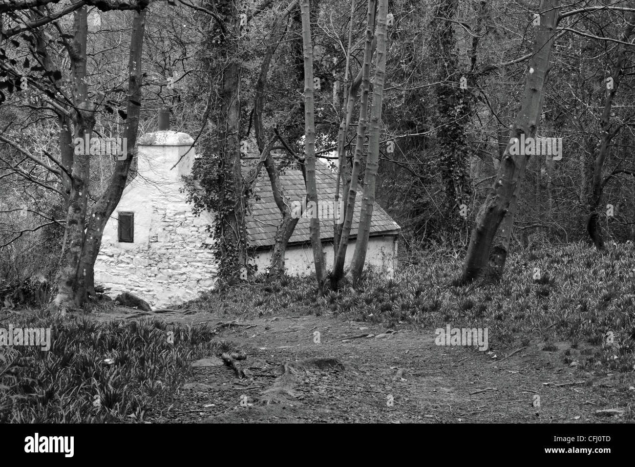 Image en noir et blanc d'une épave cottage dans les bois Banque D'Images