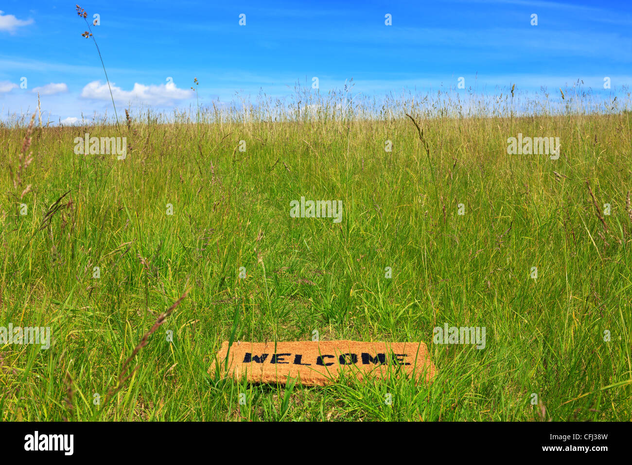 Photo d'un paillasson bienvenue dans une prairie d'herbe par une belle  journée ensoleillée avec le ciel bleu et le soleil Photo Stock - Alamy