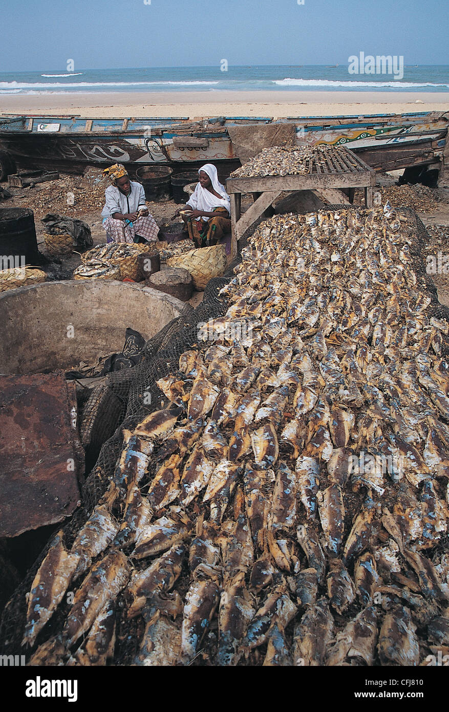 Sardines de séchage des femmes sur la plage de l'Ile Saint Louis au Sénégal Banque D'Images