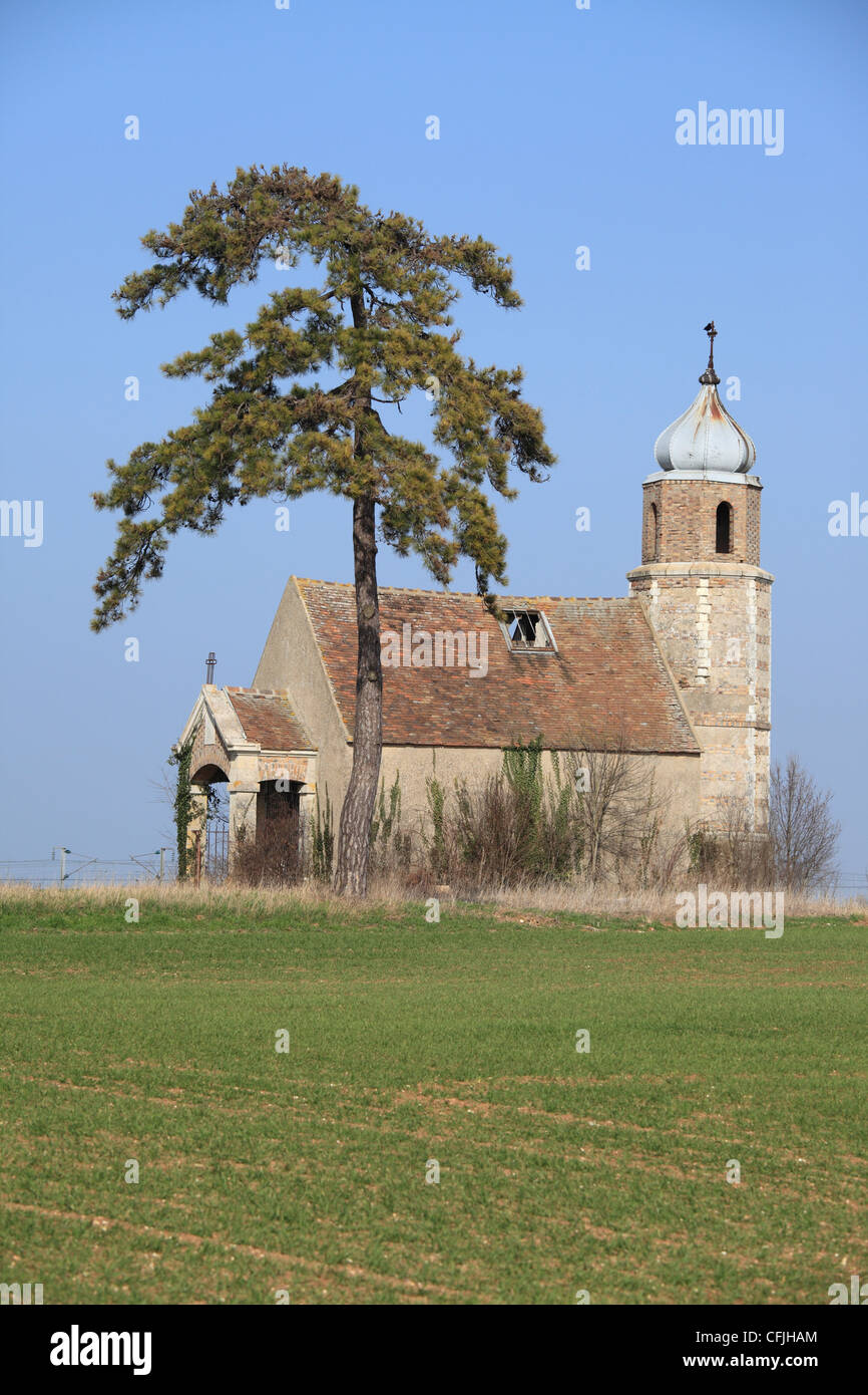 La Chapelle en ruine de Saint André à Misy sur Yonne, France. Banque D'Images