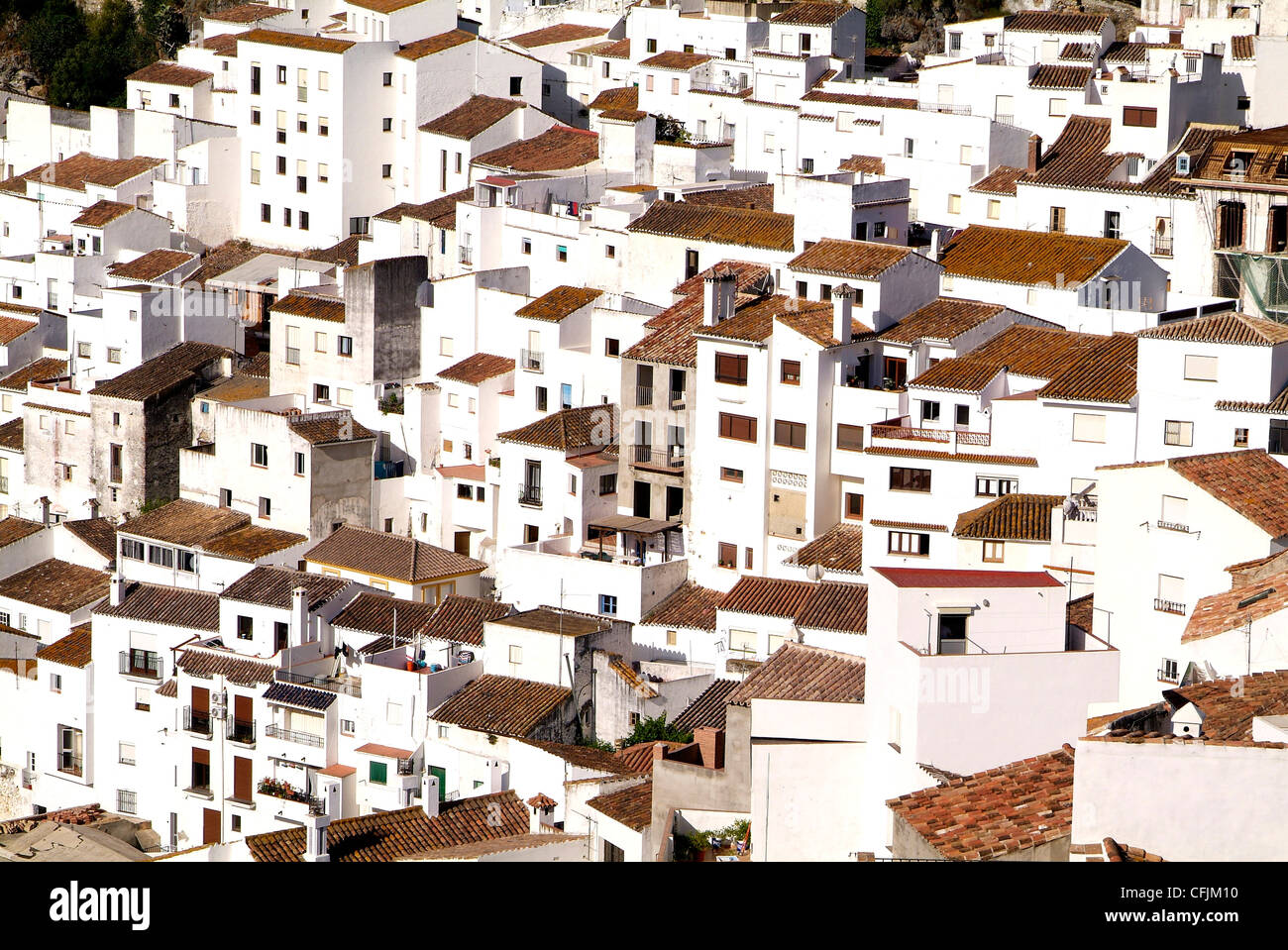 Village blanc de Casares, Sierra Bermeja, Andalousie, Espagne, Europe Banque D'Images