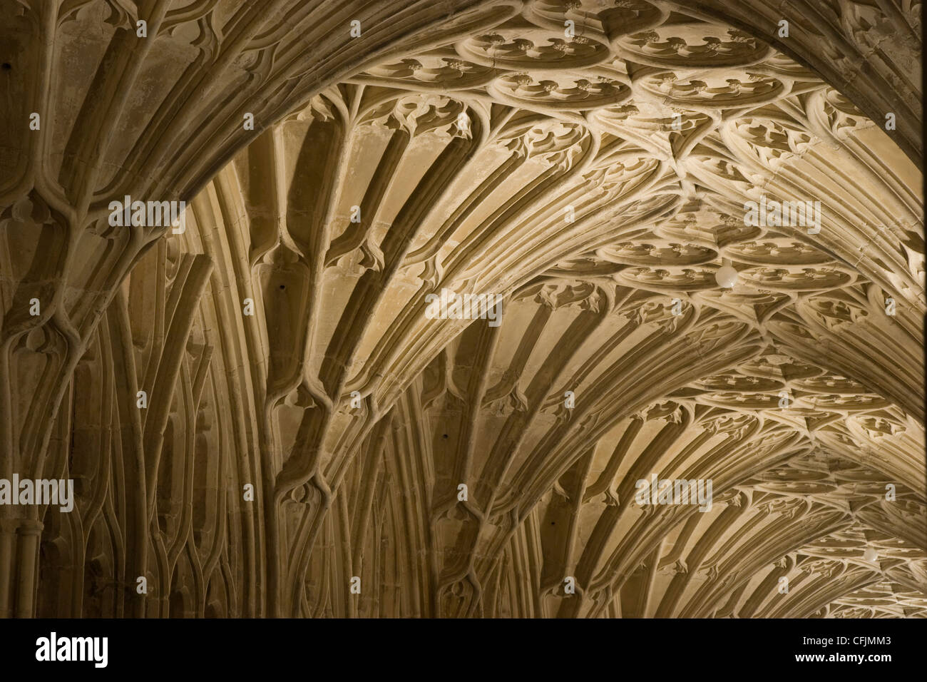 Cloîtres avec ventilateur au plafond voûté dans la cathédrale de Gloucester Banque D'Images