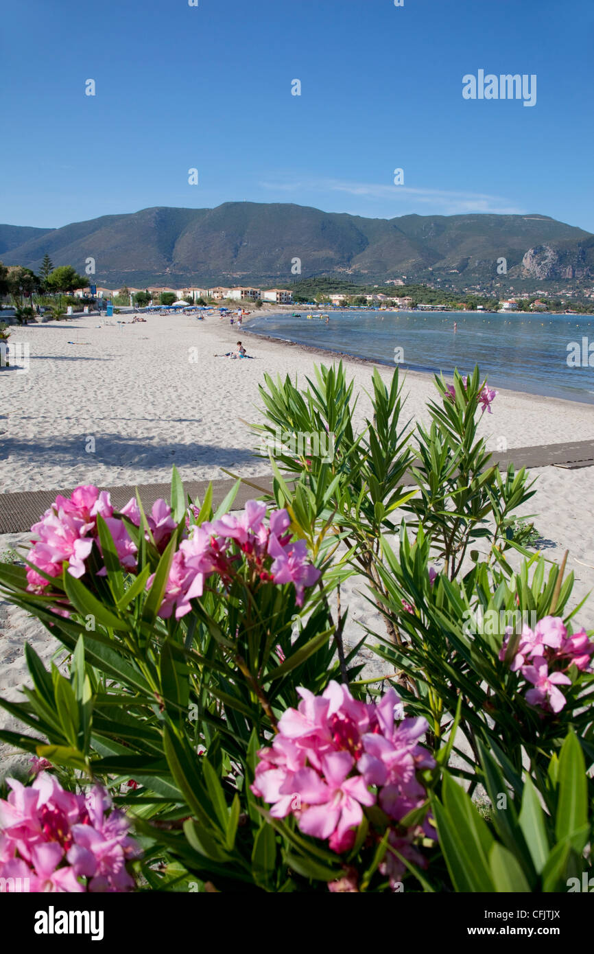 Scène de plage, Alykanas, Zante, îles Ioniennes, îles grecques, Grèce, Europe Banque D'Images