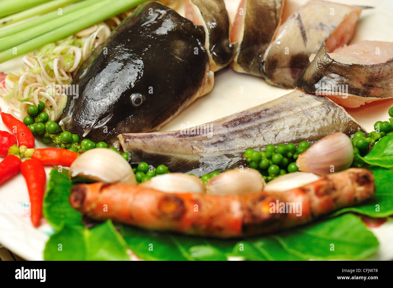 Ingrédients pour la cuisine thaïlandaise épicée poisson-chat Banque D'Images