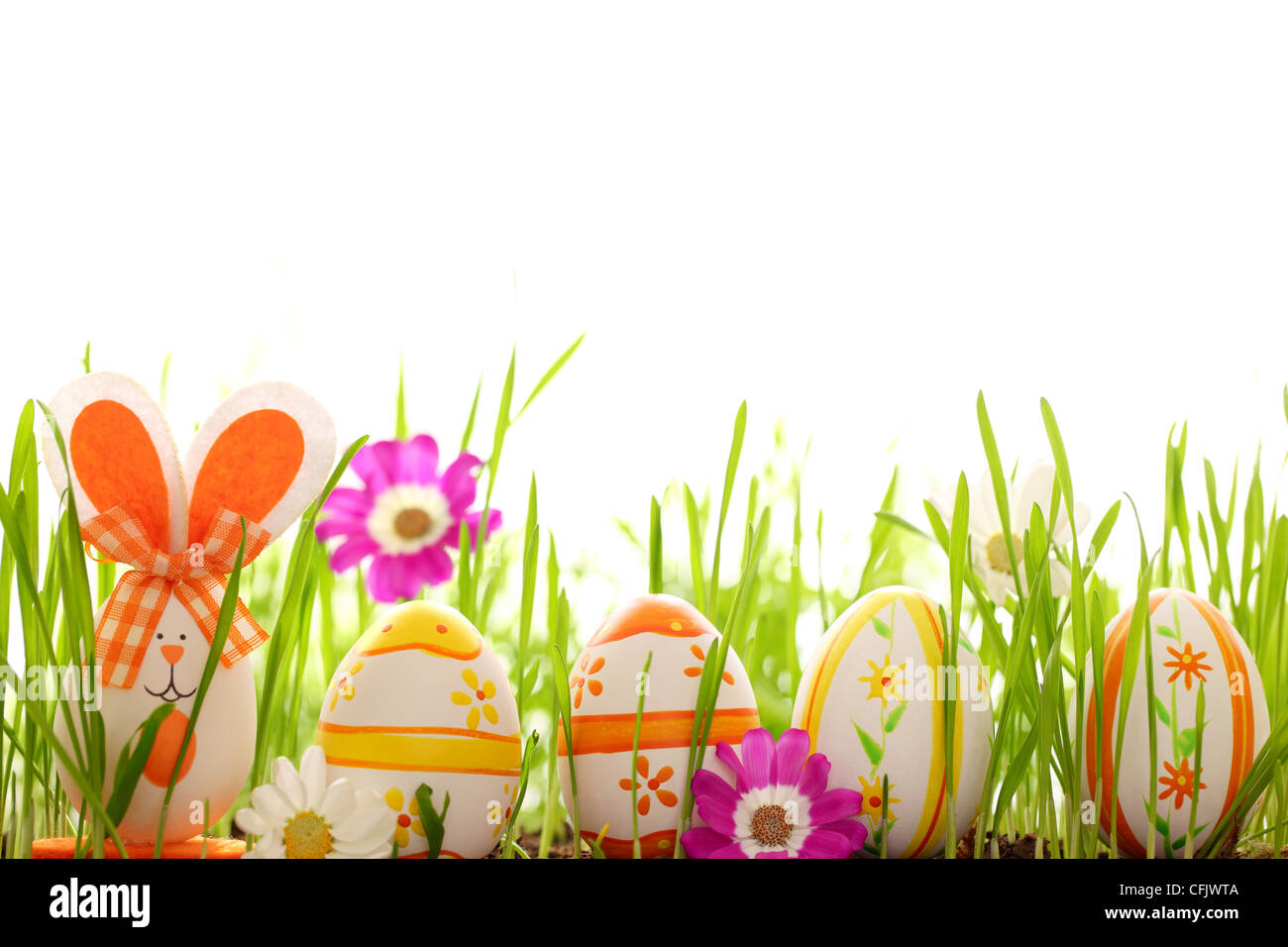 Les Œufs de pâques avec Daisy fleur sur l'herbe verte fraîche Banque D'Images