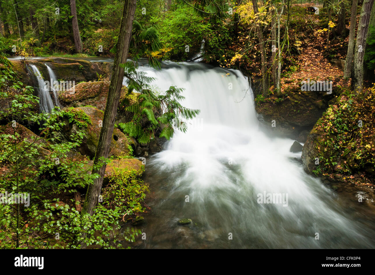Whatcom Falls dans le comté de Whatcom Falls Park, Bellingham, Washington. Banque D'Images