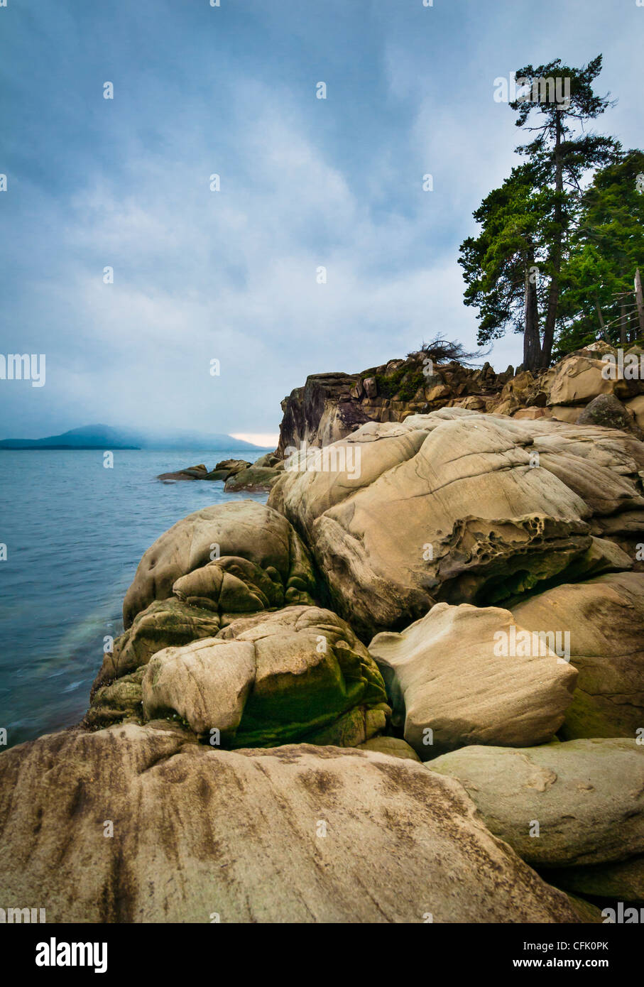 Rocher de grès érodées sur côte à Larrabee State Park, Washington. Banque D'Images