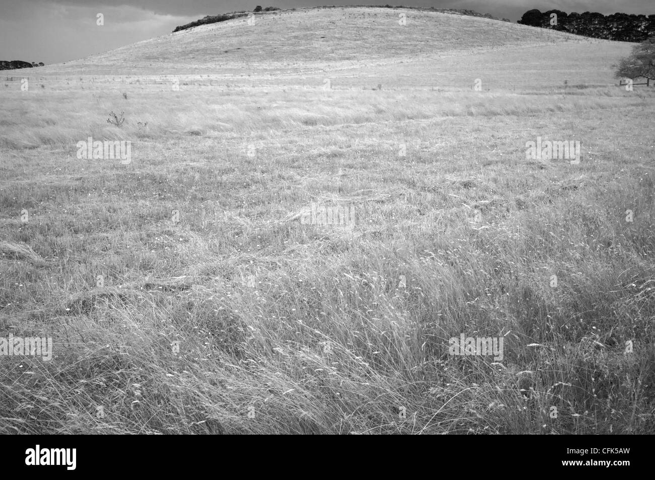 Colline de terres agricoles Banque D'Images