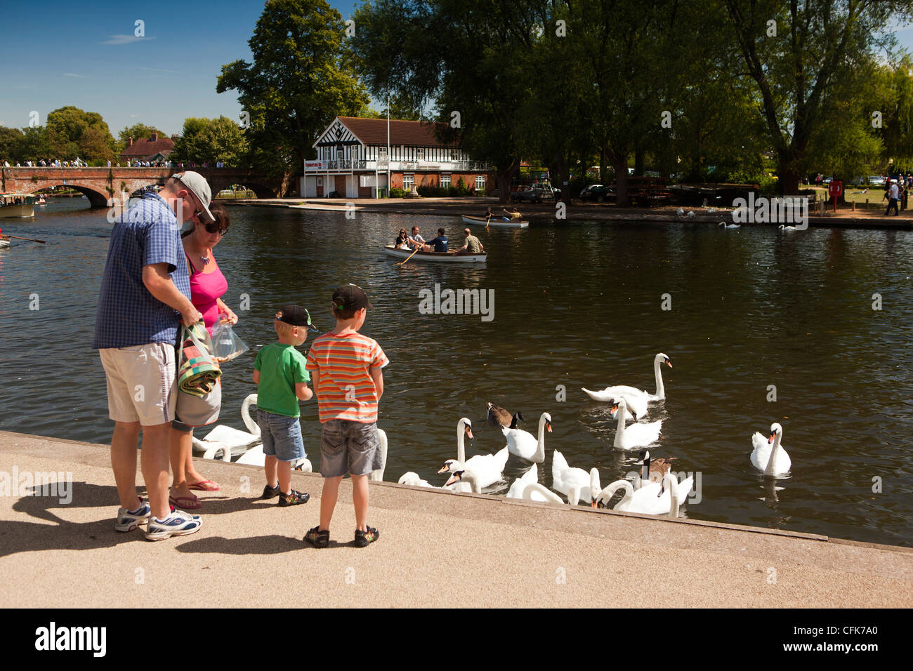 Le Warwickshire, Stratford sur Avon, jeune famille nourrir les cygnes et les canards sur la rivière Avon Banque D'Images