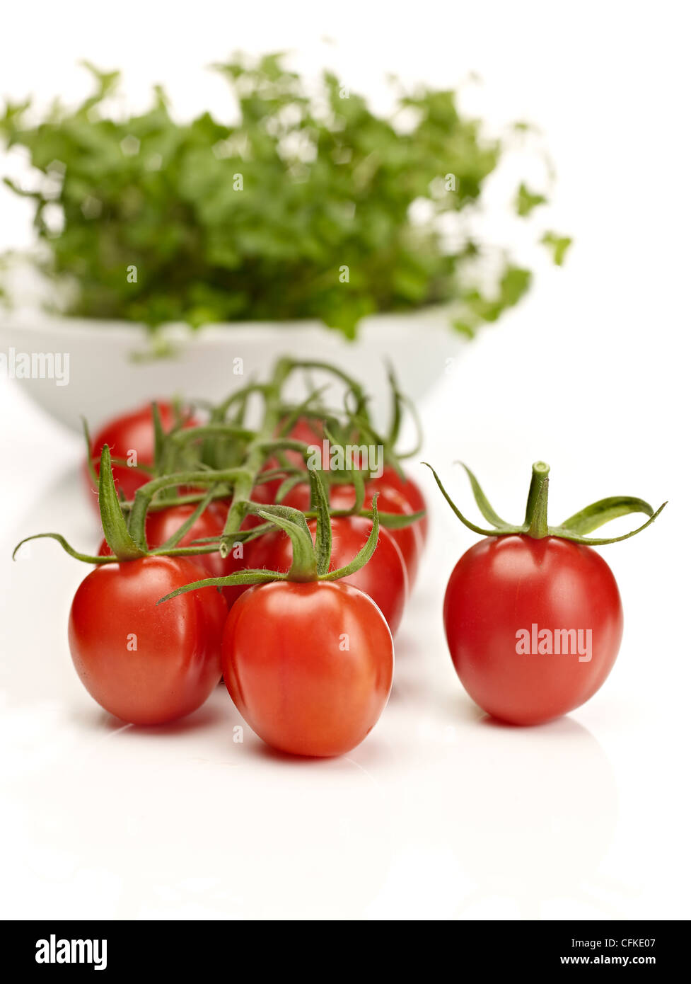 Libre de tomates cerise sur la vigne Banque D'Images