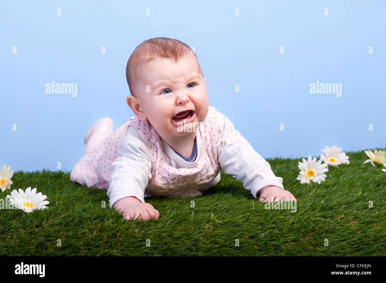 Bébé qui pleure allongé sur une pelouse avec daisies Banque D'Images